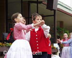 Mezinárodní folklorní festival Písní a tancem
